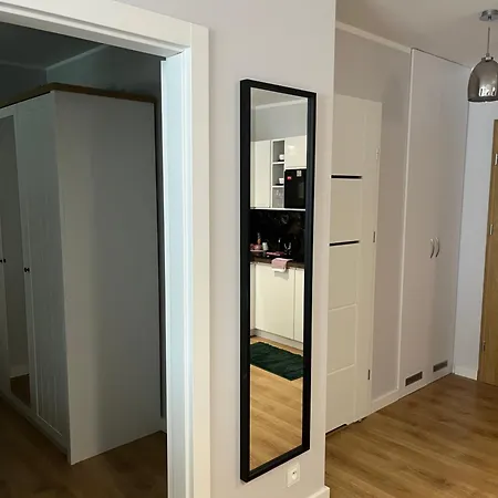 Ortiga 2 *